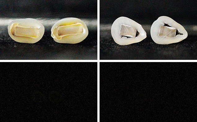 Cross sections of two “box bead” cultured pearl samples with their inert reactions under X-ray fluorescence.