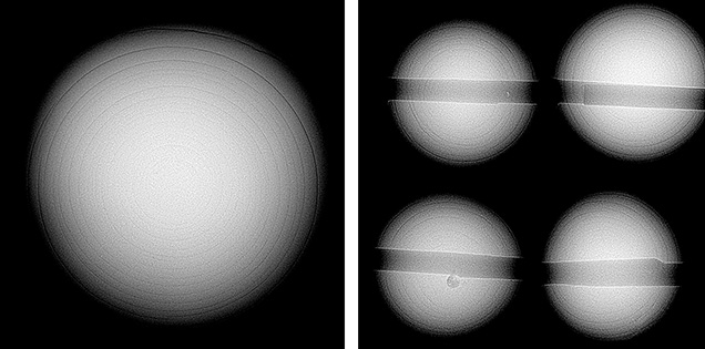 Figure 4. RTX images revealed concentric growth rings typical of the internal structure commonly observed in windowpane oyster pearls. Figure 4. RTX images revealed concentric growth rings typical of the internal structure commonly observed in windowpane oyster pearls.