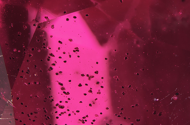 Figure 1. Numerous natural-looking dark red solid inclusions were observed in a flame-fusion laboratory-grown ruby. Photomicrograph by Ezgi Kiyak; field of view 2.9 mm. Figure 1. Numerous natural-looking dark red solid inclusions were observed in a flame-fusion laboratory-grown ruby. Photomicrograph by Ezgi Kiyak; field of view 2.9 mm.