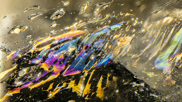 Figure 2. Fluid inclusions that showed vibrant interference colors in reflected light were also observed in the smoky quartz. Photomicrograph by Nathan Renfro; field of view 4.36 mm. Figure 2. Fluid inclusions that showed vibrant interference colors in reflected light were also observed in the smoky quartz. Photomicrograph by Nathan Renfro; field of view 4.36 mm.