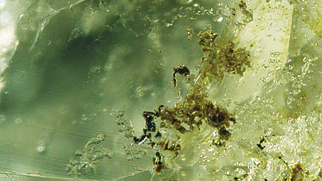 Figure 2. Mineral inclusions in a Mexican demantoid. Photomicrograph by Aaron Palke; field of view 1.26 mm. Figure 2. Mineral inclusions in a Mexican demantoid. Photomicrograph by Aaron Palke; field of view 1.26 mm.