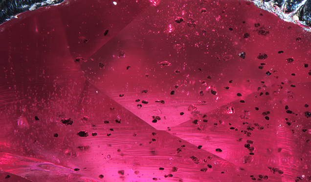 Figure 2. Strong curved growth lines and numerous gas bubbles and dark solid inclusions were present in the flame-fusion ruby. Photomicrograph by Ezgi Kiyak; field of view 2.9 mm. Figure 2. Strong curved growth lines and numerous gas bubbles and dark solid inclusions were present in the flame-fusion ruby. Photomicrograph by Ezgi Kiyak; field of view 2.9 mm.