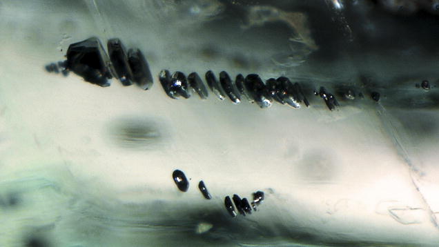 151457 151457