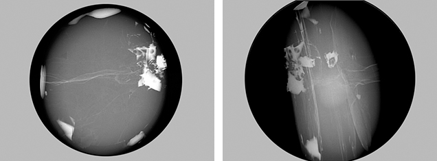 RTX images of a black star sapphire filled with lead glass RTX images of a black star sapphire filled with lead glass