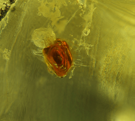 Sphalerite inclusion in Namibian demantoid. Sphalerite inclusion in Namibian demantoid.