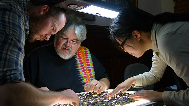 People searching for sapphires on a light table People searching for sapphires on a light table