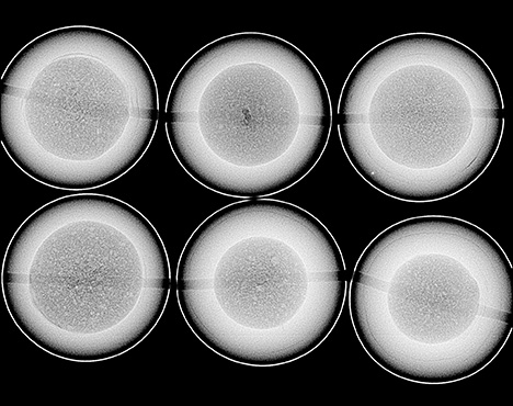 Figure 2. RTX analysis revealed the near-round atypical bead nucleus used to culture each of the pearls. Figure 2. RTX analysis revealed the near-round atypical bead nucleus used to culture each of the pearls.