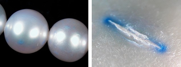 Figure 2. Left: Multiple blue color concentrations under the surface of one pearl; field of view 19.27 mm. Right: Blue dye concentration inside a fracture; field of view 2.34 mm. Photomicrographs by Artitaya Homkrajae. Figure 2. Left: Multiple blue color concentrations under the surface of one pearl; field of view 19.27 mm. Right: Blue dye concentration inside a fracture; field of view 2.34 mm. Photomicrographs by Artitaya Homkrajae.