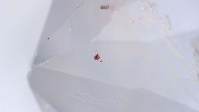 Figure 2. One of the reddish brown neptunite inclusions in the poudretteite. Photomicrograph by Jianxing Wang; field of view 1.50 mm.