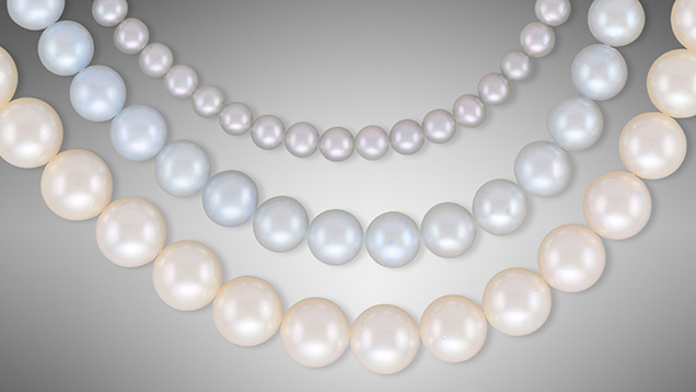 Figure 1. Strands of freshwater bead cultured pearls acquired at the Hong Kong show (top) and freshwater BC pearls submitted for identification (middle) are shown with a strand of 6.60 mm akoya bead cultured pearls (bottom) for comparison. Photo by Adriana Robinson. Figure 1. Strands of freshwater bead cultured pearls acquired at the Hong Kong show (top) and freshwater BC pearls submitted for identification (middle) are shown with a strand of 6.60 mm akoya bead cultured pearls (bottom) for comparison. Photo by Adriana Robinson.