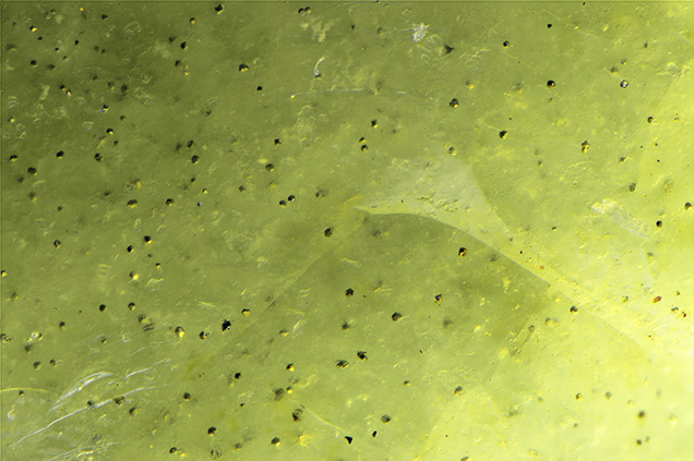 Figure 2. Scattered inclusions in the green opal were identified by Raman spectroscopy as pyrite. Photomicrograph by Nathan Renfro; field of view 1.79 mm. Figure 2. Scattered inclusions in the green opal were identified by Raman spectroscopy as pyrite. Photomicrograph by Nathan Renfro; field of view 1.79 mm.