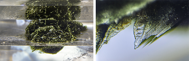 Fracture network containing gas bubbles in assembled quartz are filled with green resin to resemble moss. Fracture network containing gas bubbles in assembled quartz are filled with green resin to resemble moss.