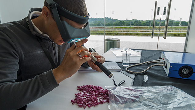 Buyer evaluates rough ruby Buyer evaluates rough ruby