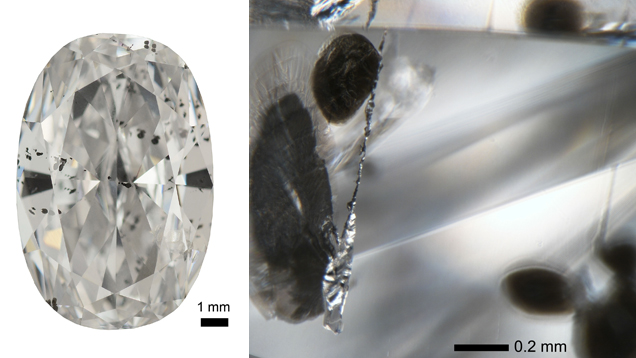 Figure 2: Polished CLIPPIR diamond (left) containing metallic inclusions. The metallic inclusions (right) are silvery in appearance and have black graphitic cracks extending from them.