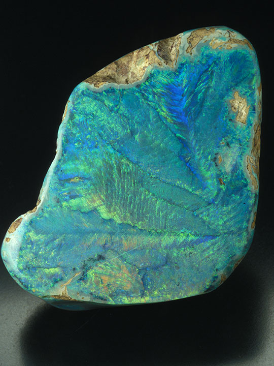 25394-540x720.jpg. This opal shows play-of-color in a “rolling” manner and is primarily green and yellow in this position. Photo courtesy Cody Opal.