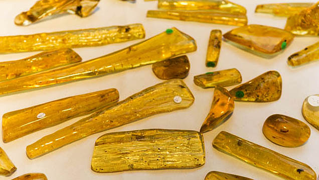 Copal. Like amber, copal is fossilized tree resin, but it is not as old. Amber must be over a million years old, while copal is younger—often around a hundred thousand years old.