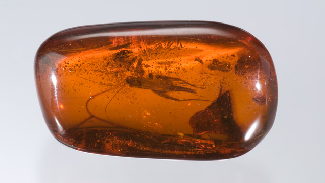93.87 cts amber bead 93.87 cts amber bead