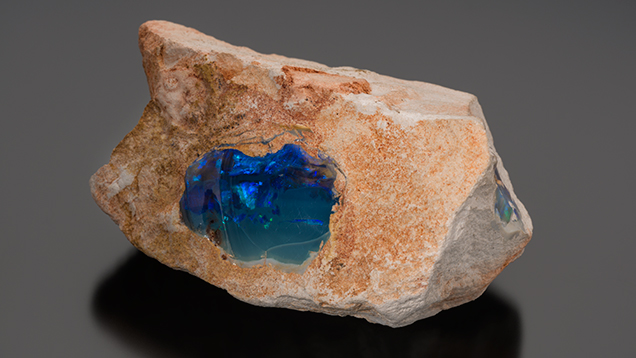 Black opal with blue play-of-color in sandstone. 这块砂岩中的黑蛋白石被称为矿瘤或 Nobby（诺比）。 摄影：Robert Weldon（罗伯特·韦尔登）/GIA，由 Cody Opal（科迪欧泊）友情提供。