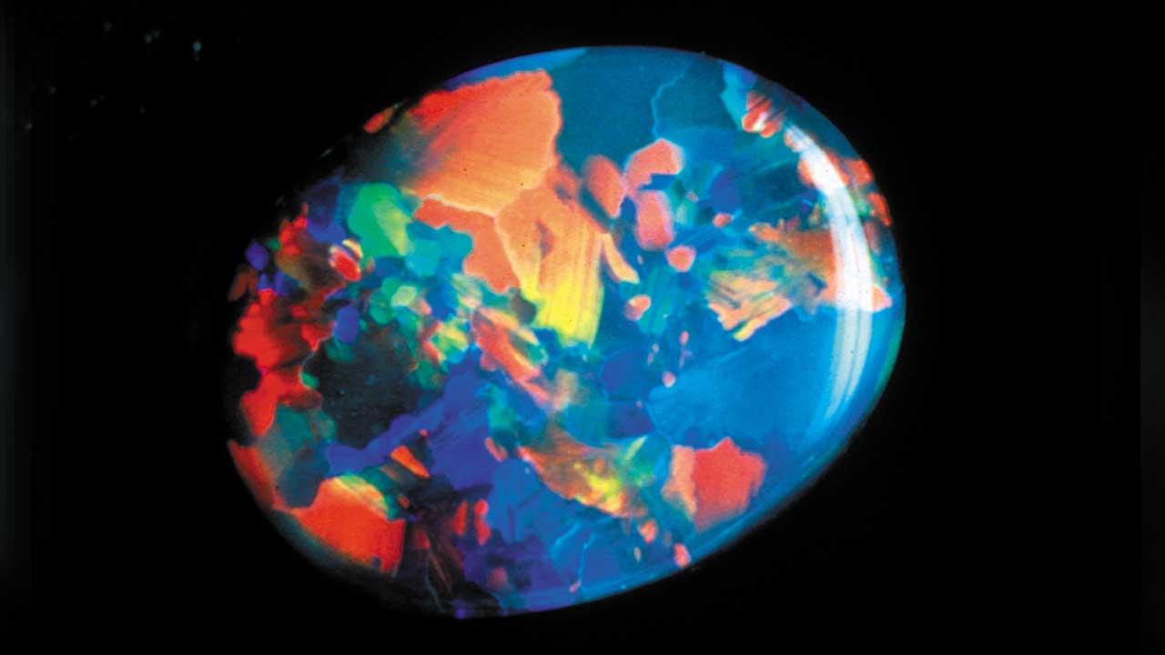 Black-Opal-41362-1280x720.jpg. This black opal shows some very bright colors in its pattern. Photo courtesy Cody Opal.