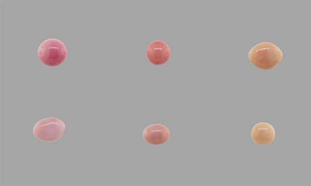 Six Queen conch pearls Six Queen conch pearls