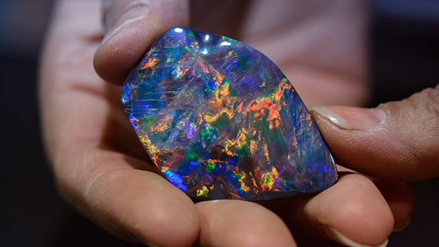 Black opal in hand. 蛋白石切割师和雕刻师 Justine Buckley（贾斯汀·巴克利）拿着她所切割的 92 克拉 Lightning Ridge（闪电山脊）黑色蛋白石。 摄影：Andrew Lucas（安德鲁·卢卡斯）/GIA。