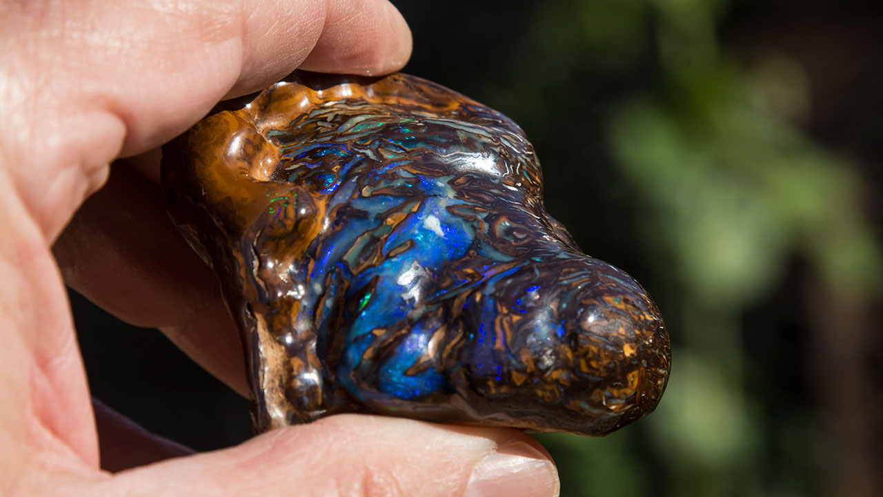 DSC_2372_185864-1280x720.jpg. This boulder opal specimen was polished to bring out its beauty. Photo by Andrew Lucas/GIA.
