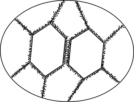 Schematic cross-section of an exceptional trapiche emerald Schematic cross-section of an exceptional trapiche emerald