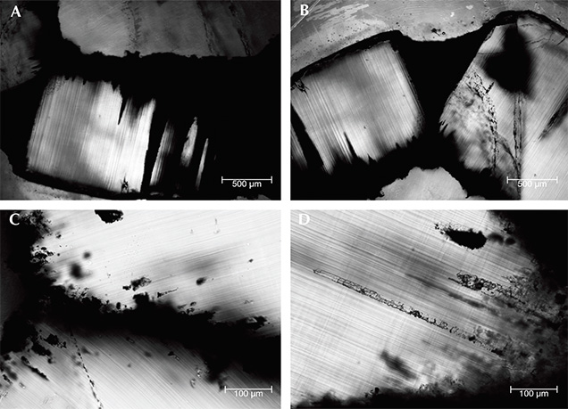 Four optical images of growth arms in trapiche emeralds Four optical images of growth arms in trapiche emeralds
