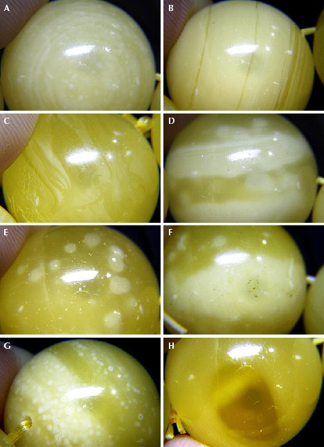 Hydrothermally treated copal beads Hydrothermally treated copal beads