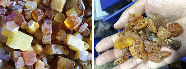 Rough amber before hydrothermal treatment Rough amber before hydrothermal treatment