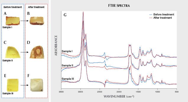 Figure 5. Variations in the appearance of amber samples before and after hydrothermal treatment: samples I (A and B), II (C and D), and III (E and F). G: infrared absorbance before and after hydrothermal treatment. Note that there was no weight change after hydrothermal treatment. Photos by Yamei Wang. Figure 5. Variations in the appearance of amber samples before and after hydrothermal treatment: samples I (A and B), II (C and D), and III (E and F). G: infrared absorbance before and after hydrothermal treatment. Note that there was no weight change after hydrothermal treatment. Photos by Yamei Wang.