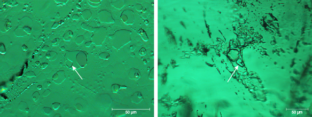 Three-phase inclusions in emeralds from Malipo, China Three-phase inclusions in emeralds from Malipo, China