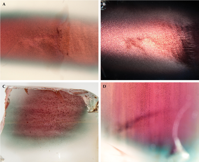 Figure 15. “Watermelon”-colored Oregon sunstone crystals all show larger flakes of copper inclusions at the core, creating the schiller effect at certain orientations that is most obvious under an optical microscope. A: Sample A314 in transmitted light (brightfield illumination). B: The same area of sample A314 under reflected light; the red-colored core shows much stronger reflection (schiller) than the green-colored rim. C: The copper flakes in sample A195 noticeably decrease in size from the red core to the green rim before disappearing in the clear edge. D: The flaky copper inclusions align along the cleavage planes in sample A319. Photomicrographs by Shiyun Jin; fields of view 8.76 mm (A–C) and 4.38 mm (D).