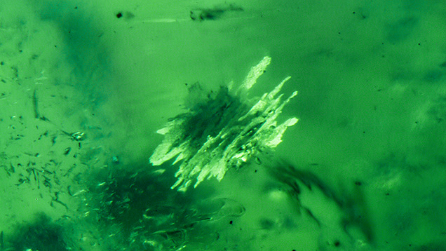 Figure 2. A large mica cluster was observed in the 1.44 ct green haüyne. Photomicrograph by Nathan Renfro; field of view 1.83 mm. Courtesy of Bill Vance.
