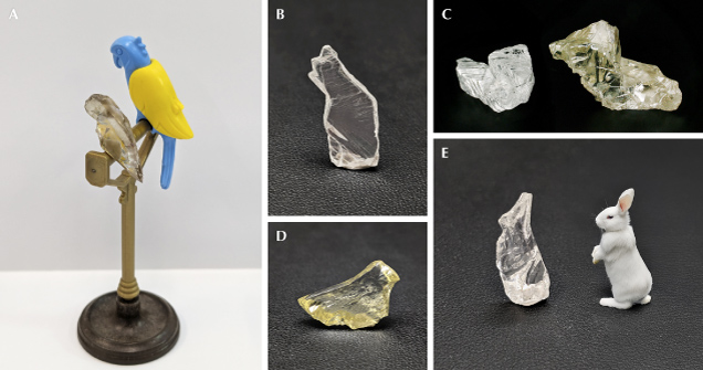 Figure 6. Rough diamonds resembling animals: parrot, 5.99 ct (A); sitting cat, 5.68 ct (B); small dogs, 2.15 and 3.66 ct, respectively (C); yellow bird, 5.69 ct (D); rabbit, 2.79 ct (E; white rabbit for comparison created using Adobe Photoshop Generative AI). Photos by Evan M. Smith.