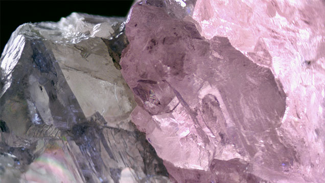 Extraordinary Large Bicolor Natural Rough Diamond
