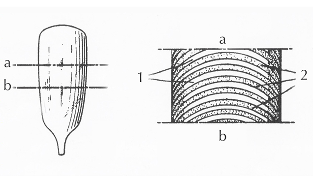 Drawings of Verneuil-grown synthetic sapphire boule from 1954 patent Drawings of Verneuil-grown synthetic sapphire boule from 1954 patent