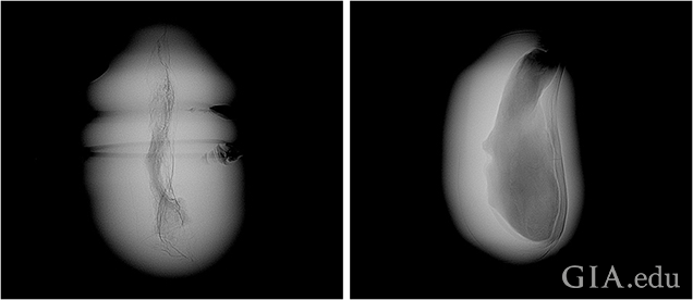 Fig12_-636_cc-v2_w.png