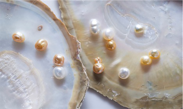 South Sea cultured pearls South Sea cultured pearls