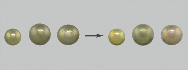 Treated pistachio pearls after immersion in various solvents Treated pistachio pearls after immersion in various solvents