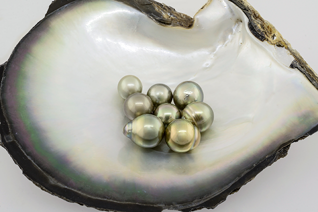 Eight natural-color pistachio pearls Eight natural-color pistachio pearls