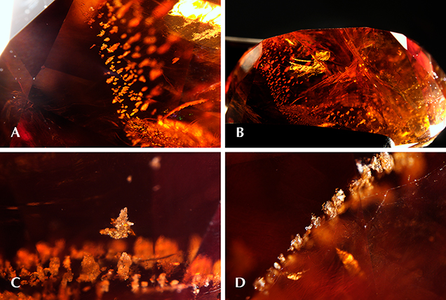 Inclusions in cordierite. Inclusions in cordierite.