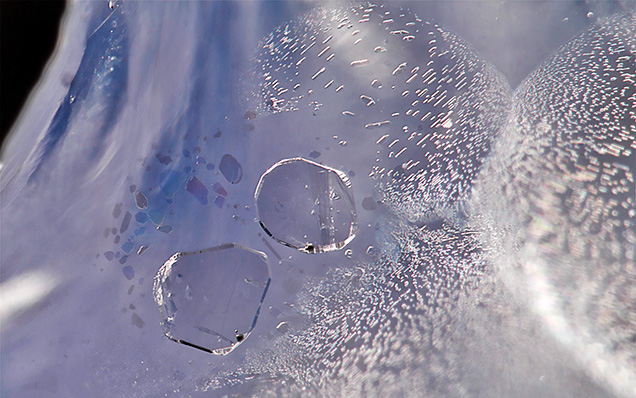Primary fluid inclusions with black solid phase. Primary fluid inclusions with black solid phase.