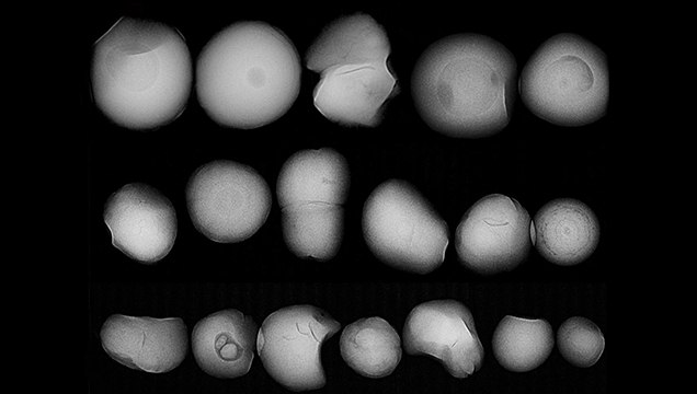RTX analysis of smallest specimens. RTX analysis of smallest specimens.
