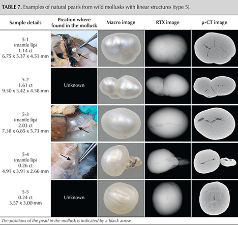 Table displaying examples of natural pearls from wild mollusks, including sample details, positions, and various imaging methods. Table displaying examples of natural pearls from wild mollusks, including sample details, positions, and various imaging methods.