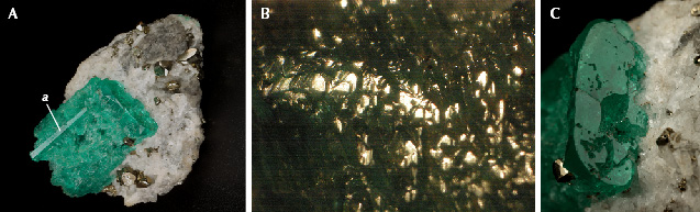 Figure 6. A: Sample 3 (23.6 mm in length), a heavily corroded emerald crystal with a completely dissolved surface related to the m prism face, but with a small protruding area related to the a prism that is almost free of corrosion. B: Only small areas of the original surface of the m prism are still reflective. C: The c basal pinacoid reveals irregularly shaped holes leading to cavities below this face. Photos by G. Martayan (A and C), and K. Schmetzer (B); field of view 7.6 mm (B).