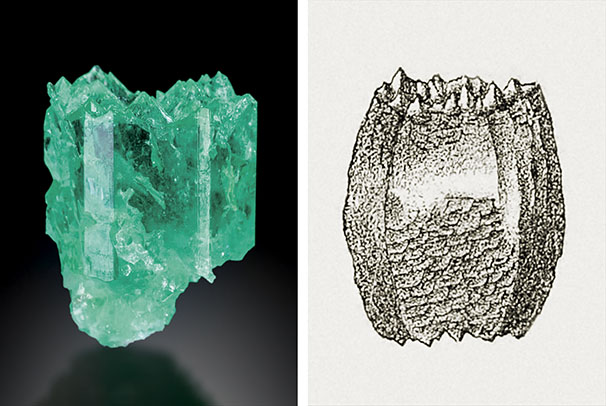 Figure A-3. Left: A heavily etched Colombian emerald crystal from Muzo measuring 27 mm in length. The basal pinacoid is completely dissolved, leading to numerous pointed hillocks; the growth sectors related to the a prism faces are optically reflective. Photo by Jeff Scovil. Right: Etched beryl crystal from Pont de Barost, Haute-Vienne, France, showing a completely dissolved basal face with numerous pointed hillocks. From Lacroix (1896).