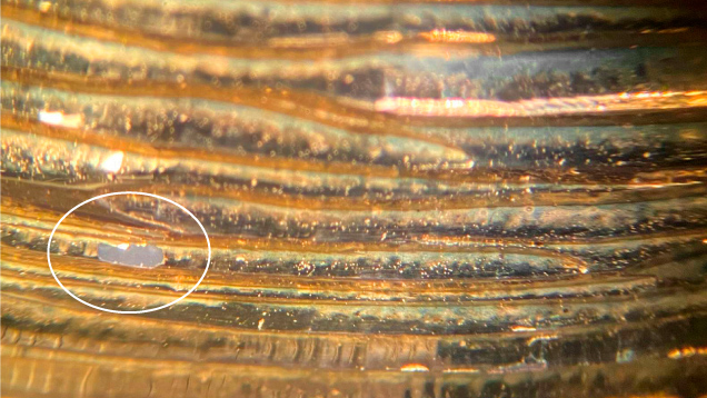 Figure 3. An area where the gold plating has flaked off from the bracelet is shown in the circled region. Photo by Rambod Bahadory. Figure 3. An area where the gold plating has flaked off from the bracelet is shown in the circled region. Photo by Rambod Bahadory.
