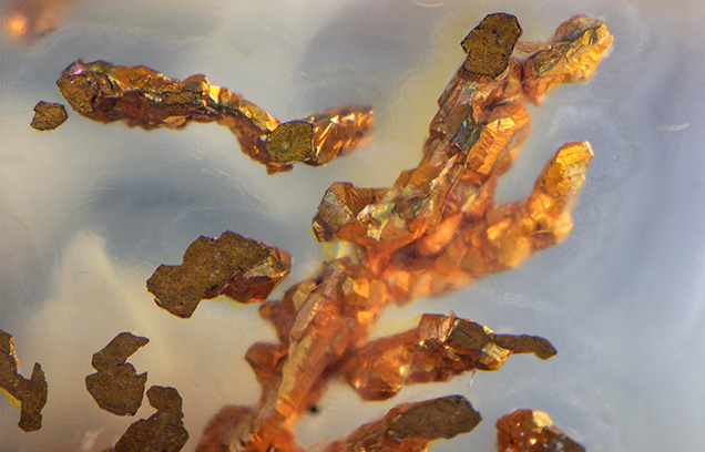 Figure 2. The chalcedony cabochons from Lawang Kori, Indonesia, contain an abundance of elemental copper but lack brightly colored secondary copper minerals. Photomicrograph by Nathan Renfro; field of view 5.63 mm. Figure 2. The chalcedony cabochons from Lawang Kori, Indonesia, contain an abundance of elemental copper but lack brightly colored secondary copper minerals. Photomicrograph by Nathan Renfro; field of view 5.63 mm.