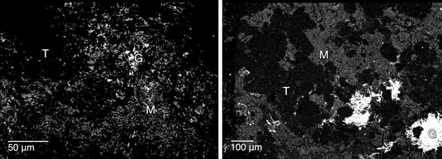 Two microscopic images showing dark, textured surfaces with labeled regions: T, G, and M. Scale bars indicate 50 µm and 100 µm. Two microscopic images showing dark, textured surfaces with labeled regions: T, G, and M. Scale bars indicate 50 µm and 100 µm.